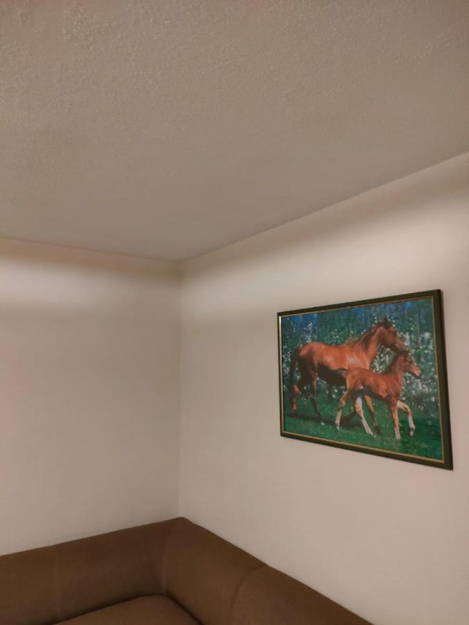 Apartament 6 Osobowy ชกลาร์สกา ปอเรมบา ภายนอก รูปภาพ